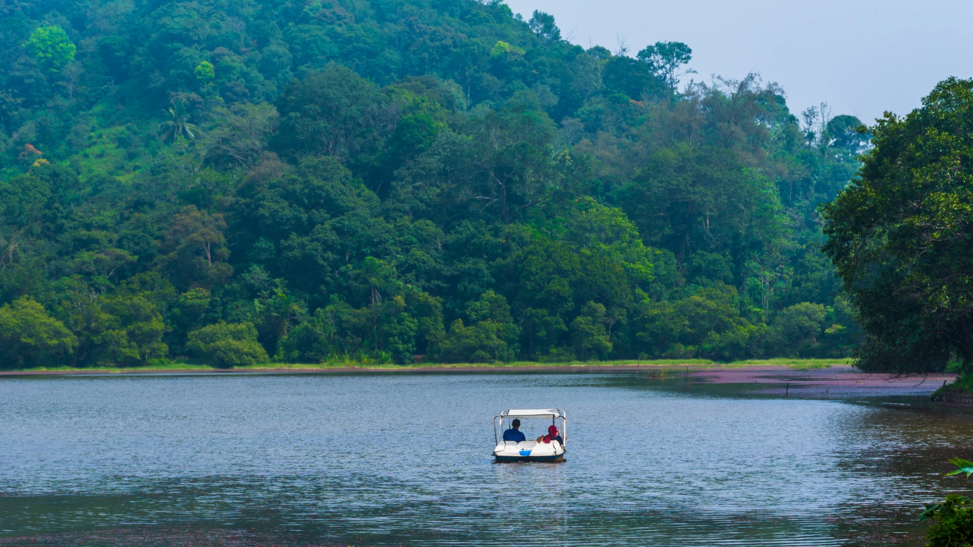 Wayanad